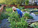 10 Ways Gardening is like Retaining Great Employees