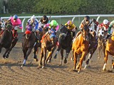 Controlling Expenses - Think of Horse Racing